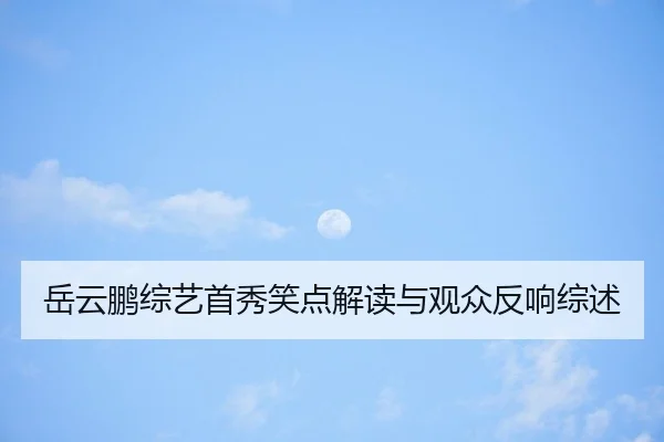 岳云鹏综艺首秀笑点解读与观众反响综述