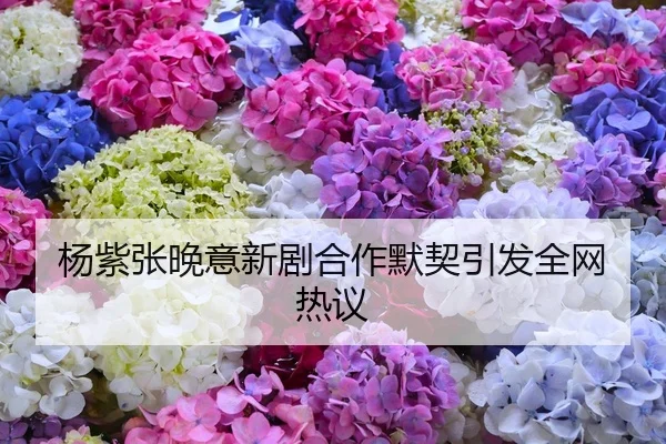 杨紫张晚意新剧合作默契引发全网热议
